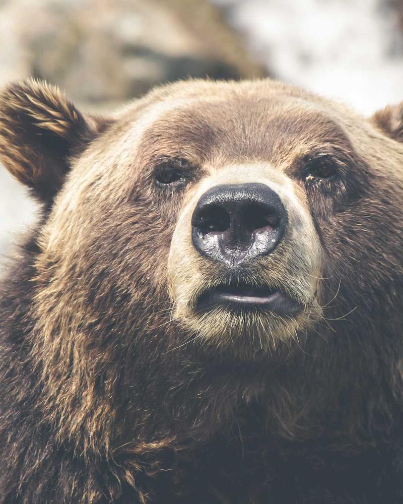 Betty Bonanza — supporting independent makers and artisans